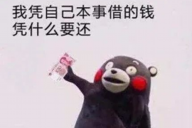 锦州专业讨债公司有哪些核心服务？